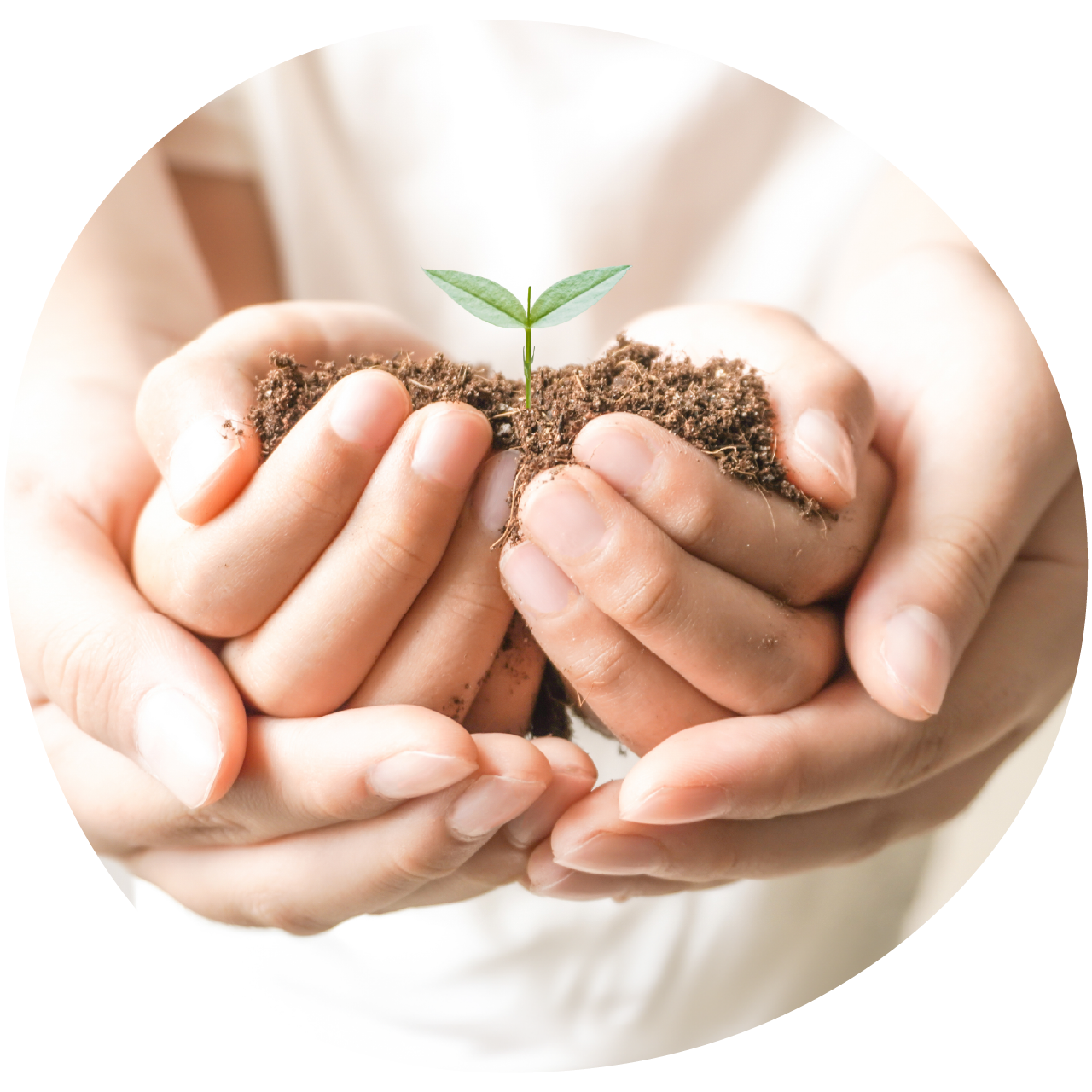 名前に込めた「結び」の願い